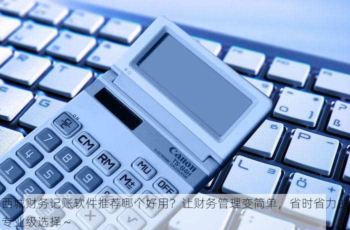 西城财务记账软件推荐哪个好用？让财务管理变简单，省时省力的专业级选择～