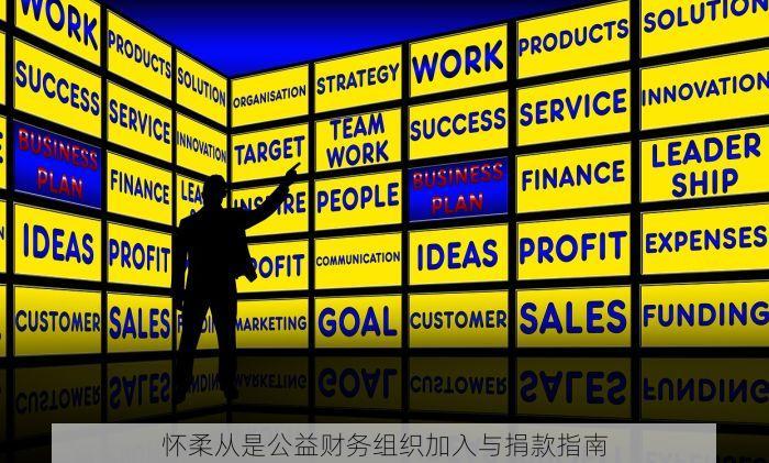 怀柔从是公益财务组织加入与捐款指南