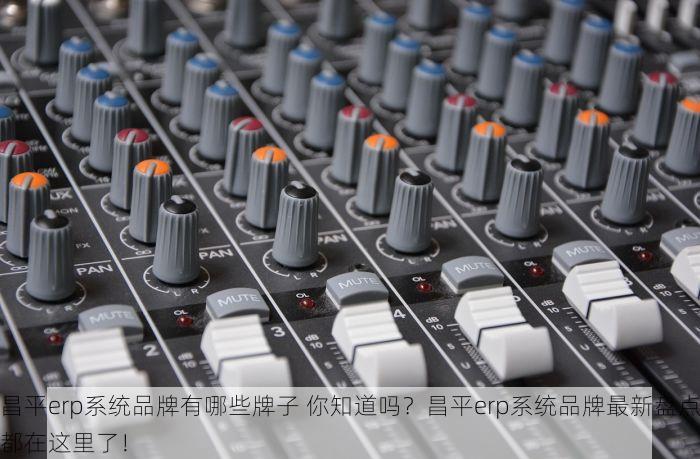 昌平erp系统品牌有哪些牌子 你知道吗？昌平erp系统品牌最新盘点都在这里了！