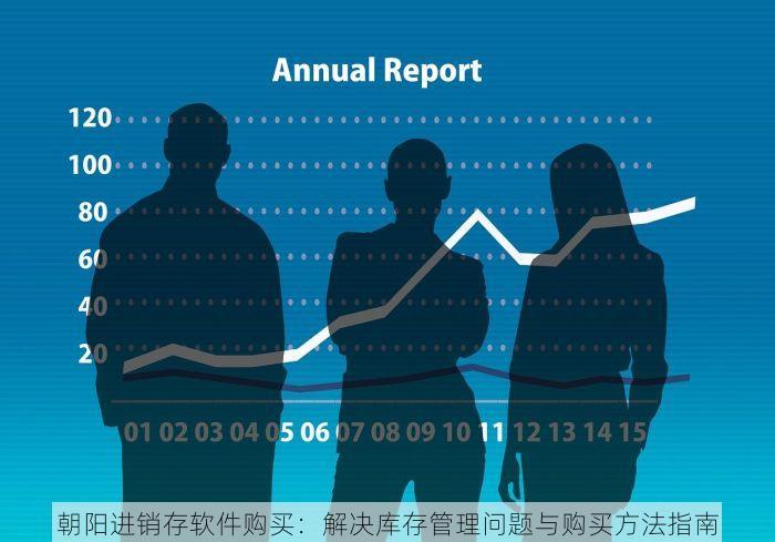 朝阳进销存软件购买：解决库存管理问题与购买方法指南