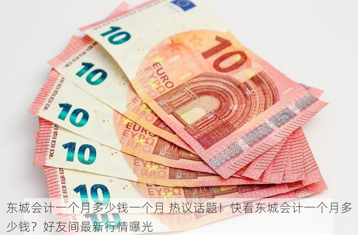 东城会计一个月多少钱一个月 热议话题！快看东城会计一个月多少钱？好友间最新行情曝光