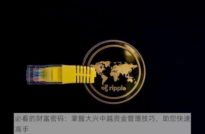 老板必看的财富密码：掌握大兴中越资金管理技巧，助您快速成为理财高手