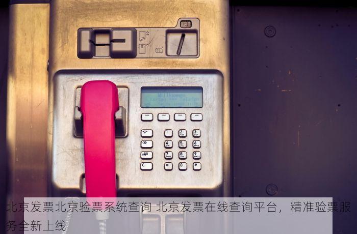 北京发票北京验票系统查询 北京发票在线查询平台，精准验票服务全新上线