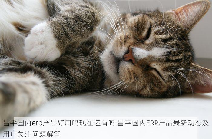 昌平国内erp产品好用吗现在还有吗 昌平国内ERP产品最新动态及用户关注问题解答