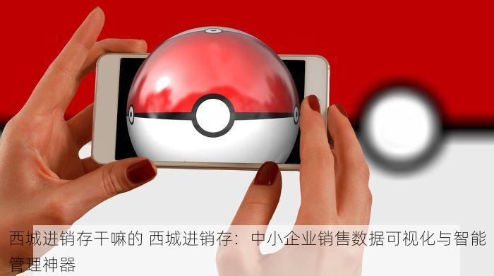 西城进销存干嘛的 西城进销存：中小企业销售数据可视化与智能管理神器
