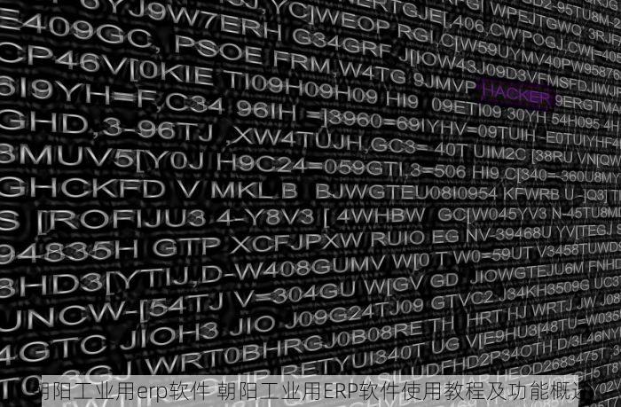 朝阳工业用erp软件 朝阳工业用ERP软件使用教程及功能概述