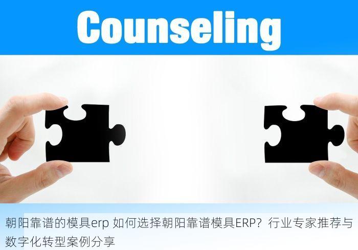 朝阳靠谱的模具erp 如何选择朝阳靠谱模具ERP？行业专家推荐与数字化转型案例分享