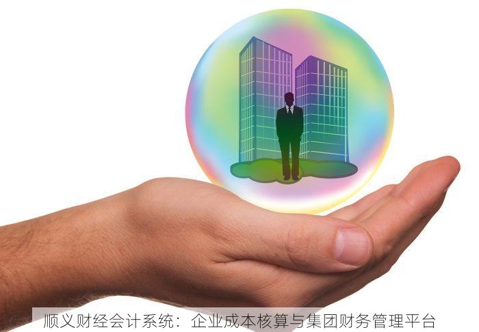 顺义财经会计系统：企业成本核算与集团财务管理平台