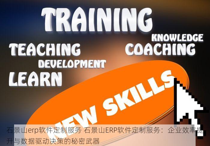 石景山erp软件定制服务 石景山ERP软件定制服务：企业效率提升与数据驱动决策的秘密武器