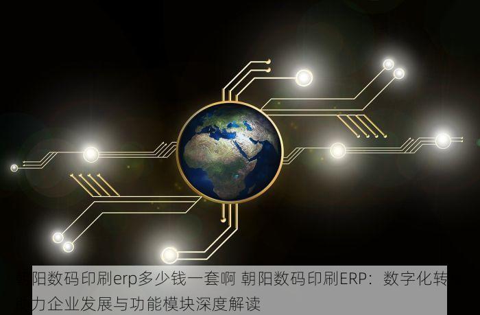 朝阳数码印刷erp多少钱一套啊 朝阳数码印刷ERP：数字化转型助力企业发展与功能模块深度解读