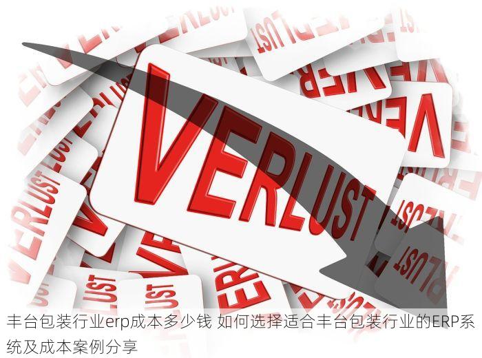 丰台包装行业erp成本多少钱 如何选择适合丰台包装行业的ERP系统及成本案例分享