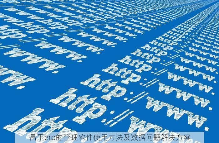 昌平erp的管理软件使用方法及数据问题解决方案