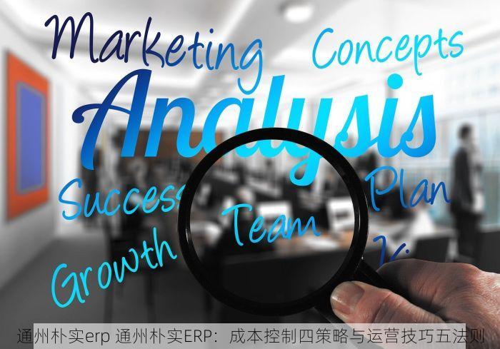 通州朴实erp 通州朴实ERP：成本控制四策略与运营技巧五法则