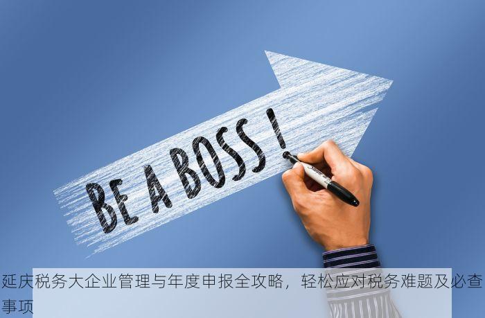 延庆税务大企业管理与年度申报全攻略，轻松应对税务难题及必查事项