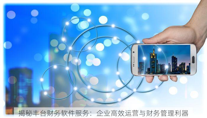 揭秘丰台财务软件服务：企业高效运营与财务管理利器