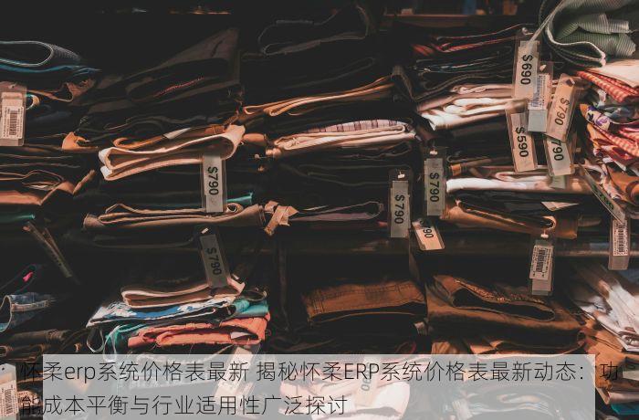 怀柔erp系统价格表最新 揭秘怀柔ERP系统价格表最新动态：功能成本平衡与行业适用性广泛探讨