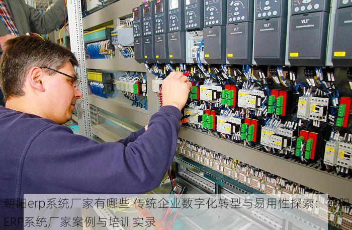 朝阳erp系统厂家有哪些 传统企业数字化转型与易用性探索：朝阳ERP系统厂家案例与培训实录