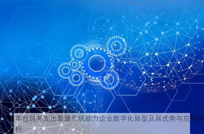 天津丰台财务支出管理系统助力企业数字化转型及其优势与应用场景分析