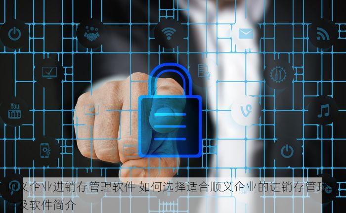 顺义企业进销存管理软件 如何选择适合顺义企业的进销存管理软件及软件简介