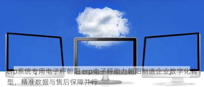 erp系统专用电子秤朝阳 erp电子秤助力朝阳制造企业数字化转型，精准数据与售后保障并行