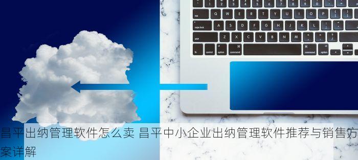 昌平出纳管理软件怎么卖 昌平中小企业出纳管理软件推荐与销售方案详解