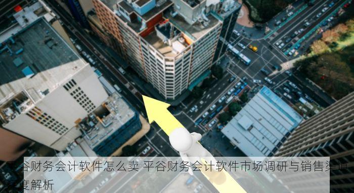 平谷财务会计软件怎么卖 平谷财务会计软件市场调研与销售渠道深度解析