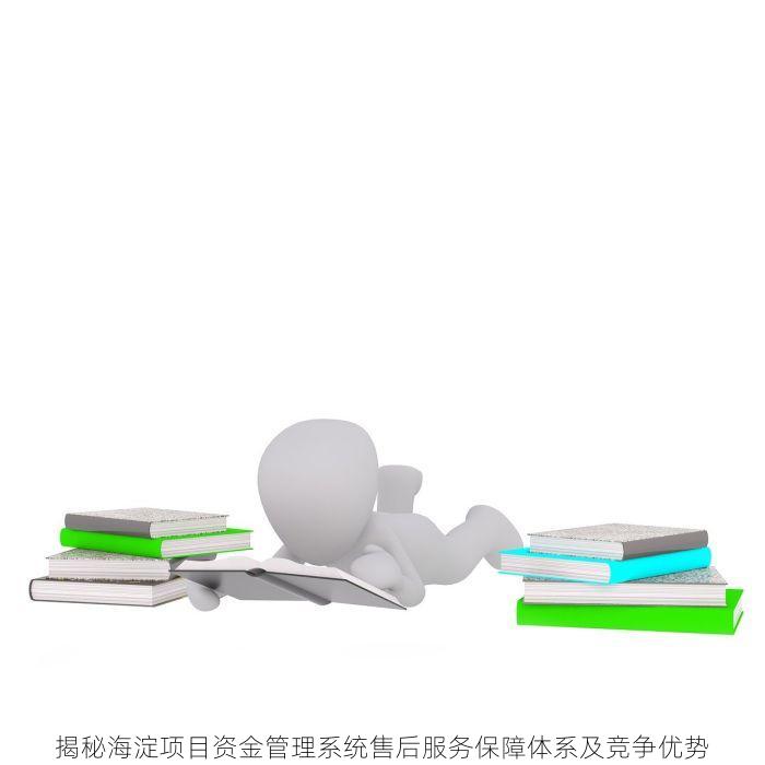 揭秘海淀项目资金管理系统售后服务保障体系及竞争优势