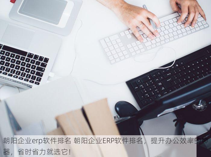 朝阳企业erp软件排名 朝阳企业ERP软件排名，提升办公效率的神器，省时省力就选它！