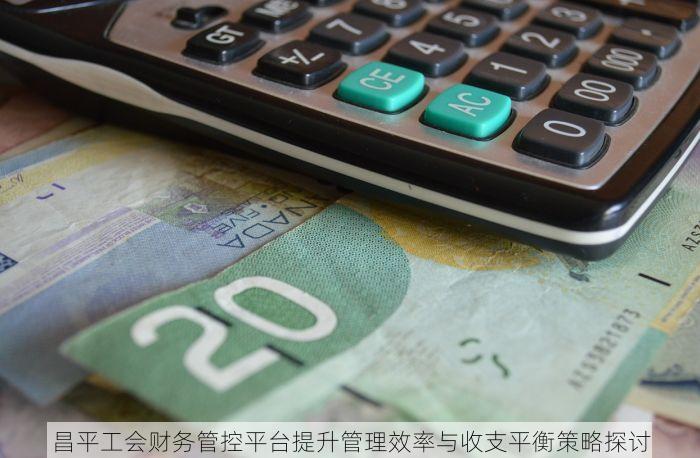 昌平工会财务管控平台提升管理效率与收支平衡策略探讨