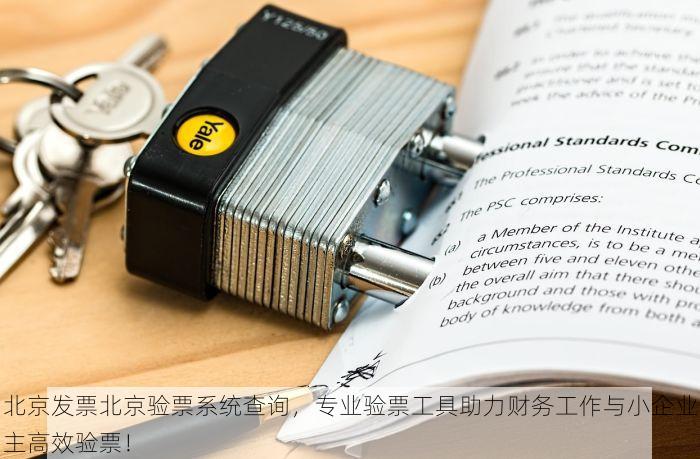 北京发票北京验票系统查询，专业验票工具助力财务工作与小企业主高效验票！
