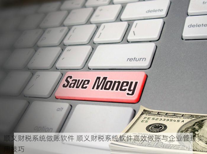 顺义财税系统做账软件 顺义财税系统软件高效做账与企业管理实用技巧