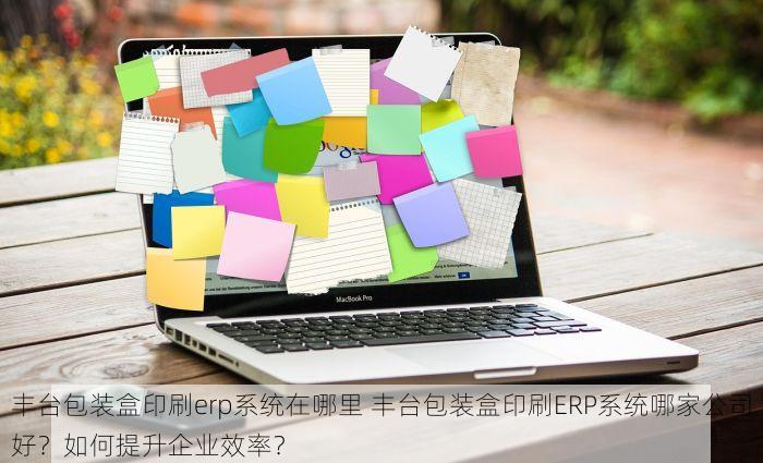 丰台包装盒印刷erp系统在哪里 丰台包装盒印刷ERP系统哪家公司好？如何提升企业效率？