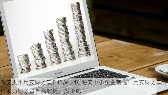 海淀贵州用友财务软件t1多少钱 海淀中小企业首选！用友财务软件T1助力财务管理高效提升多少钱