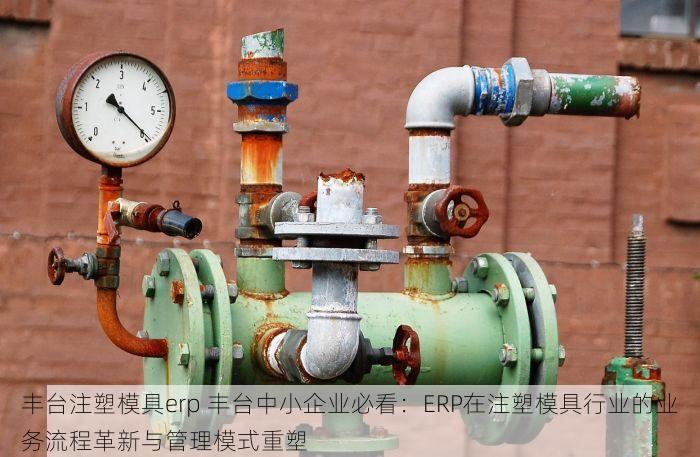 丰台注塑模具erp 丰台中小企业必看：ERP在注塑模具行业的业务流程革新与管理模式重塑