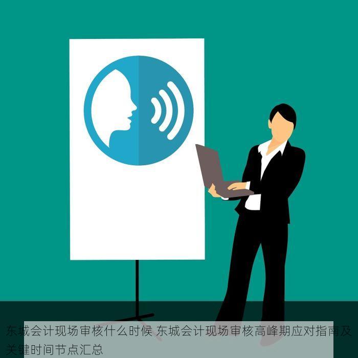 东城会计现场审核什么时候 东城会计现场审核高峰期应对指南及关键时间节点汇总