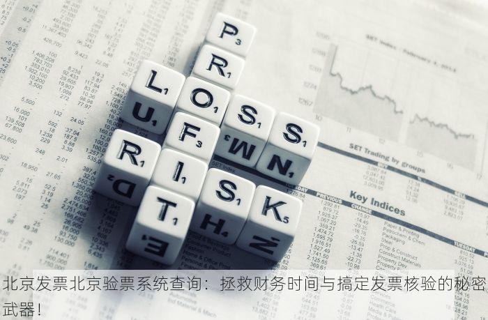 北京发票北京验票系统查询：拯救财务时间与搞定发票核验的秘密武器！