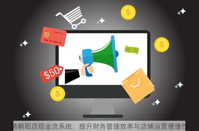 靖朝阳店现金流系统：提升财务管理效率与店铺运营便捷性