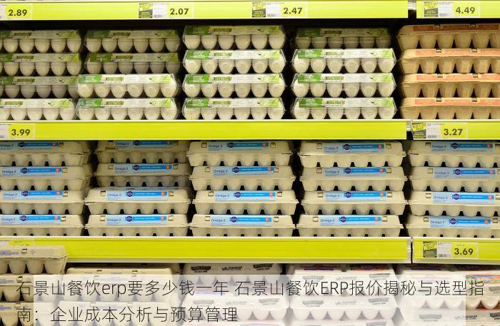 石景山餐饮erp要多少钱一年 石景山餐饮ERP报价揭秘与选型指南：企业成本分析与预算管理