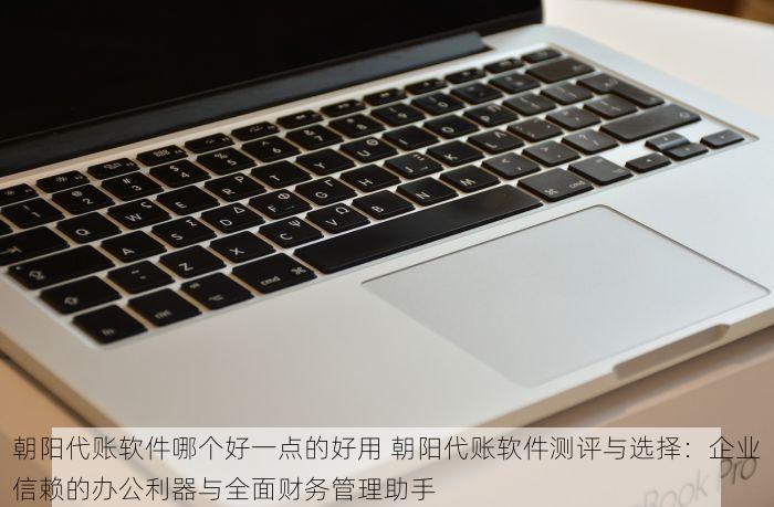 朝阳代账软件哪个好一点的好用 朝阳代账软件测评与选择：企业信赖的办公利器与全面财务管理助手