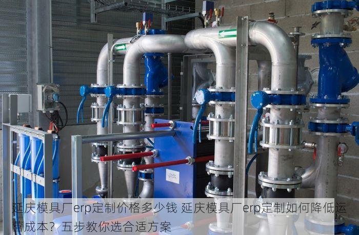 延庆模具厂erp定制价格多少钱 延庆模具厂erp定制如何降低运营成本？五步教你选合适方案