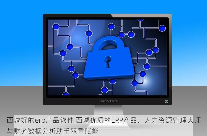 西城好的erp产品软件 西城优质的ERP产品：人力资源管理大师与财务数据分析助手双重赋能