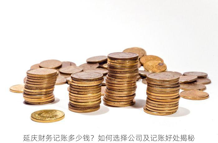 延庆财务记账多少钱？如何选择公司及记账好处揭秘