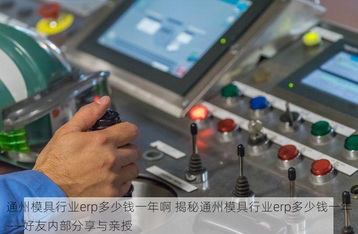 通州模具行业erp多少钱一年啊 揭秘通州模具行业erp多少钱一年——好友内部分享与亲授