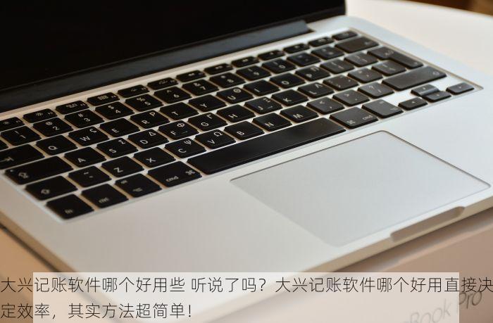 大兴记账软件哪个好用些 听说了吗？大兴记账软件哪个好用直接决定效率，其实方法超简单！
