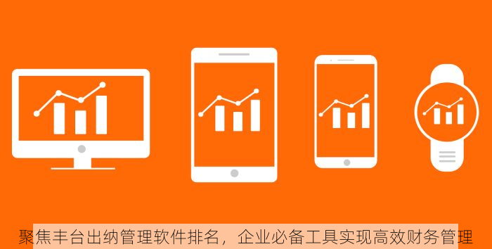 聚焦丰台出纳管理软件排名，企业必备工具实现高效财务管理