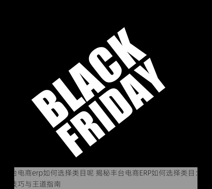 丰台电商erp如何选择类目呢 揭秘丰台电商ERP如何选择类目：实战技巧与王道指南