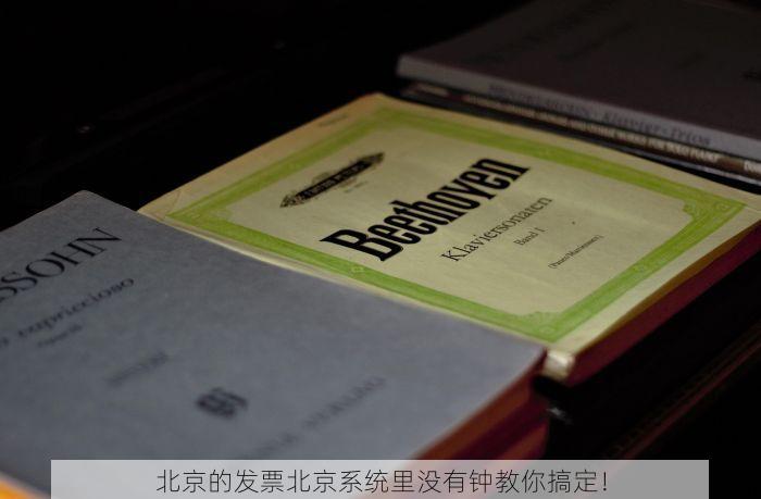 北京的发票北京系统里没有 北京的发票在系统中未显示？打印与查询功能全方位解析与操作指导