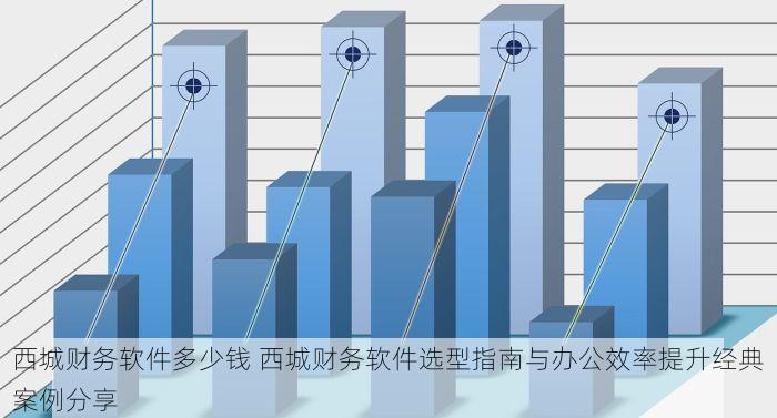 西城财务软件多少钱 西城财务软件选型指南与办公效率提升经典案例分享