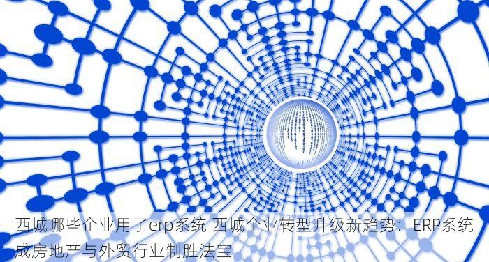 西城哪些企业用了erp系统 西城企业转型升级新趋势：ERP系统成房地产与外贸行业制胜法宝