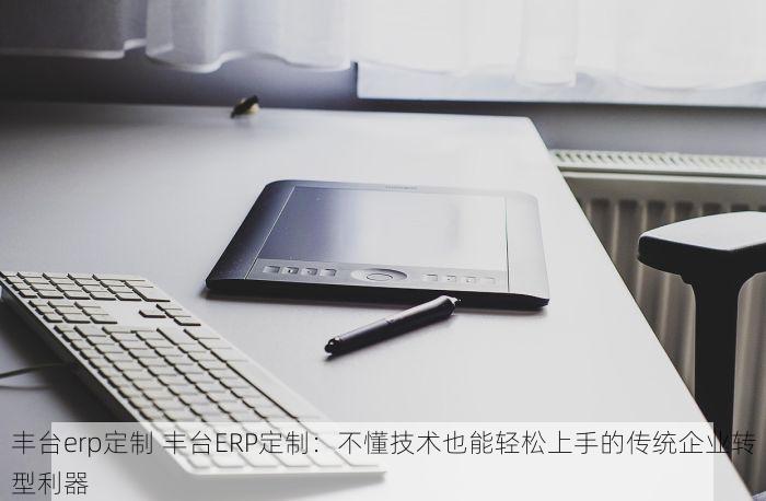 丰台erp定制 丰台ERP定制：不懂技术也能轻松上手的传统企业转型利器